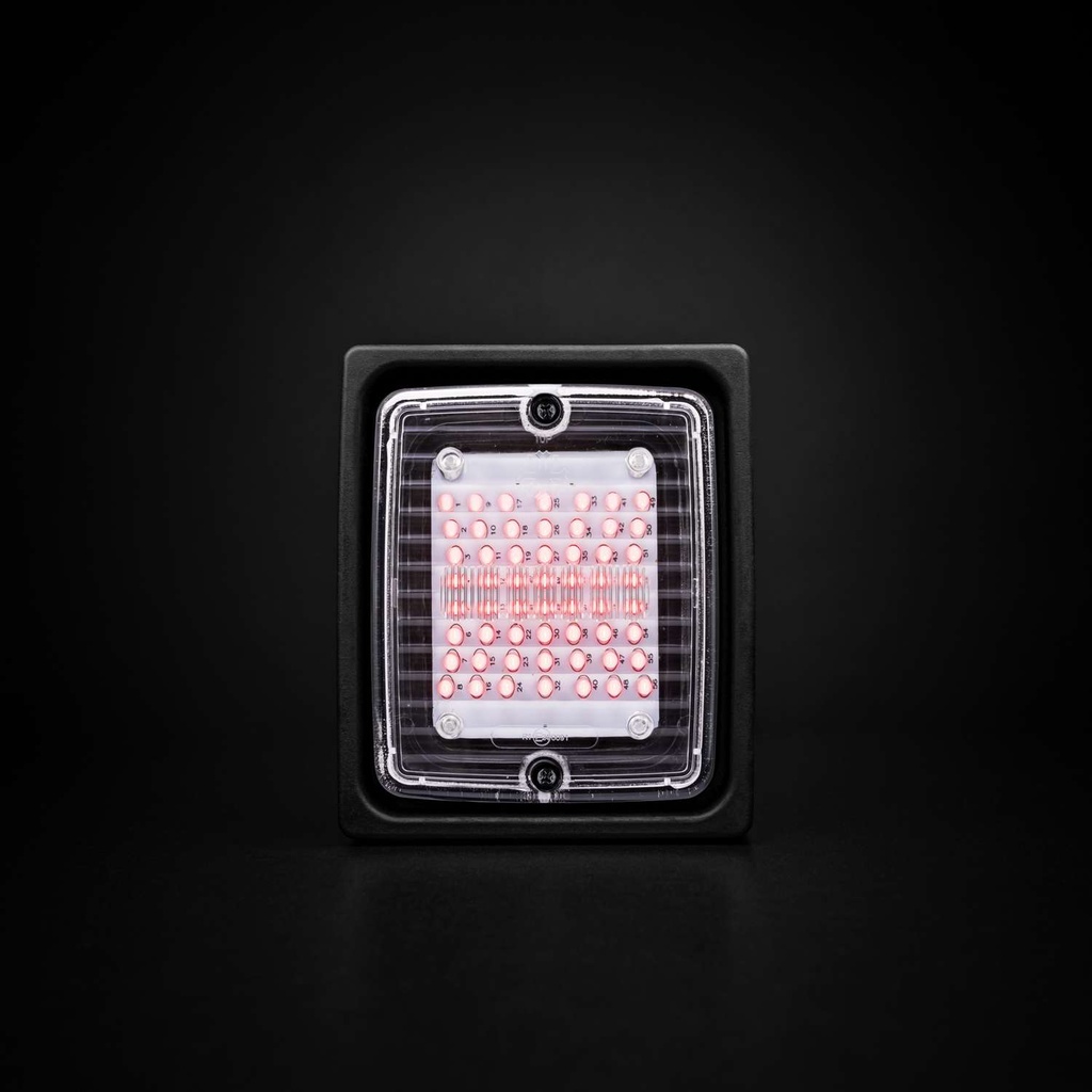 IZE LED Taillight with Clear Lens