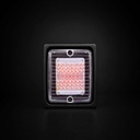 IZE LED Break and Taillight with Clear Lens