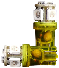 [26075SMD32VO] T10 Lamps with 5 SMD LEDs Amber | Set of 2 Pieces